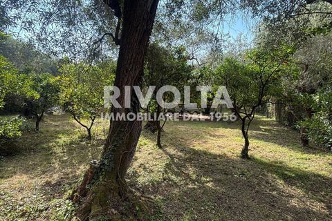 Villa a Sperlonga, Latina, Sperlonga - € 1.000.000 | Ref: DB Sperlonga - foto 16