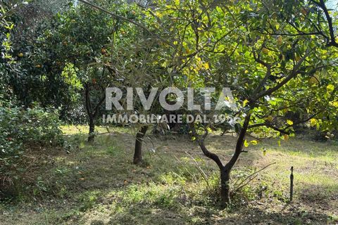 Villa a Sperlonga, Latina, Sperlonga - € 1.000.000 | Ref: DB Sperlonga - foto 18