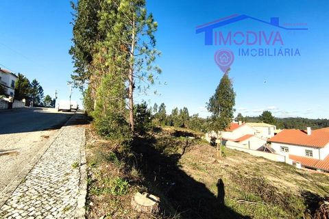 Helårsgrund i Ansiao, Leiria, Ansiao - € 38.300 | Ref: DV441/1225 - foto 2