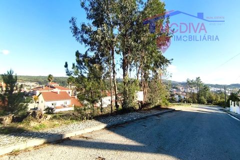 Helårsgrund i Ansiao, Leiria, Ansiao - € 38.300 | Ref: DV441/1225 - foto 4