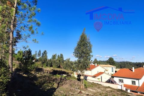 Helårsgrund i Ansiao, Leiria, Ansiao - € 38.300 | Ref: DV441/1225 - foto 3