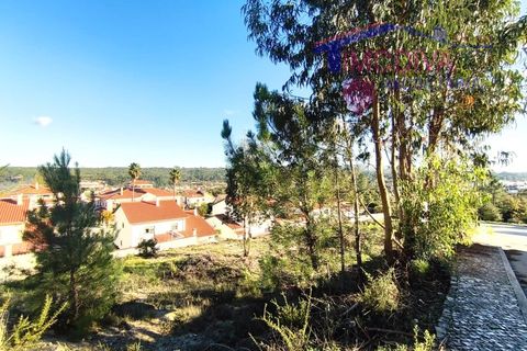 Helårsgrund i Ansiao, Leiria, Ansiao - € 38.300 | Ref: DV441/1225 - foto 5