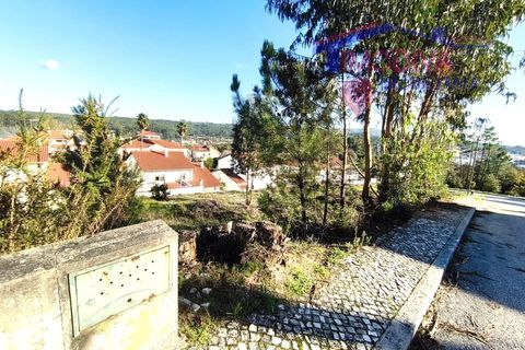 Helårsgrund i Ansiao, Leiria, Ansiao - € 38.300 | Ref: DV441/1225 - foto 6