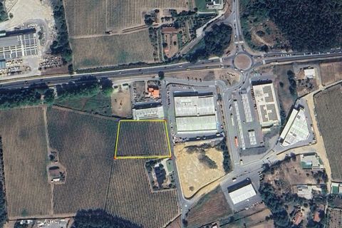 Helårsgrund i Moncao, Viana do Castelo, Moncao - € 493.500 | Ref: MNC1728T - foto 1
