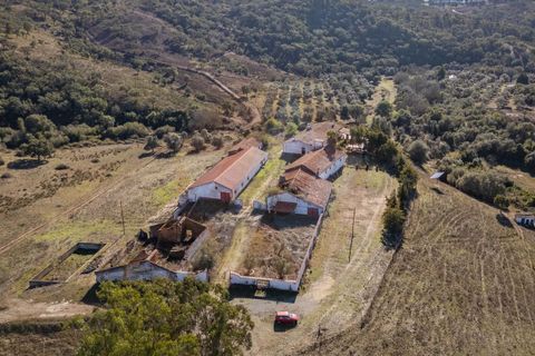 Farm i Odemira, Beja, Odemira - € 4.344.920 | Ref: QT-943 - foto 3