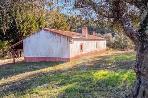 Farm i Odemira, Beja, Odemira - € 4.344.920 | Ref: QT-943 - foto 4