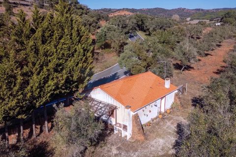 Farm i Odemira, Beja, Odemira - € 4.344.920 | Ref: QT-943 - foto 6