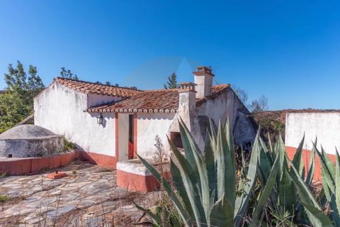 Farm i Odemira, Beja, Odemira - € 4.344.920 | Ref: QT-943 - foto 7
