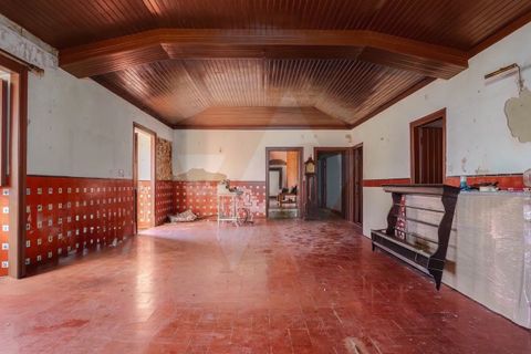 Farm i Odemira, Beja, Odemira - € 4.344.920 | Ref: QT-943 - foto 9