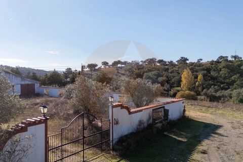 Farm i Odemira, Beja, Odemira - € 4.344.920 | Ref: QT-943 - foto 11