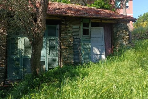 Terra a Varazze, Savona, Varazze - € 165.000 | Ref: 29741 - foto 2