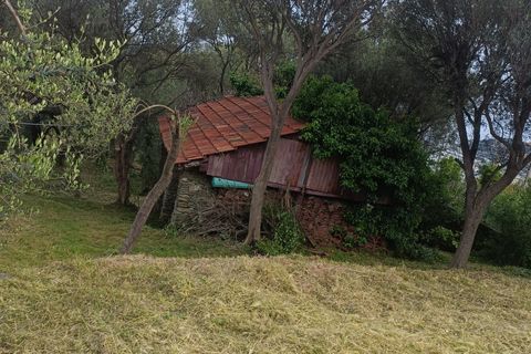 Terra a Varazze, Savona, Varazze - € 165.000 | Ref: 29741 - foto 3
