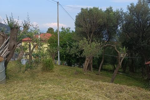 Terra a Varazze, Savona, Varazze - € 165.000 | Ref: 29741 - foto 4
