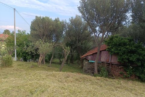 Terra a Varazze, Savona, Varazze - € 165.000 | Ref: 29741 - foto 5