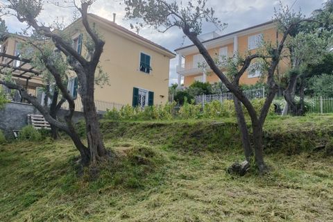 Terra a Varazze, Savona, Varazze - € 165.000 | Ref: 29741 - foto 6