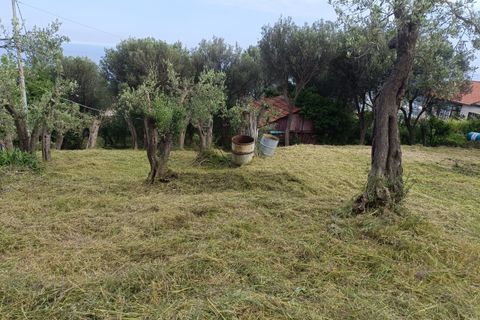 Terra a Varazze, Savona, Varazze - € 165.000 | Ref: 29741 - foto 7