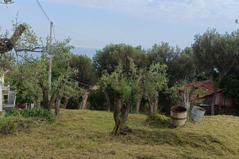 Terra a Varazze, Savona, Varazze - € 165.000 | Ref: 29741 - foto 8