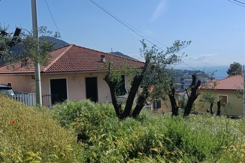 Terra a Varazze, Savona, Varazze - € 165.000 | Ref: 29741 - foto 9