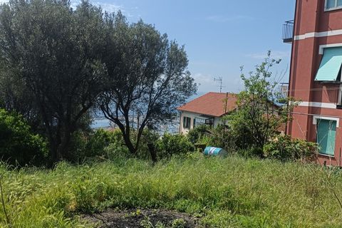 Terra a Varazze, Savona, Varazze - € 165.000 | Ref: 29741 - foto 10