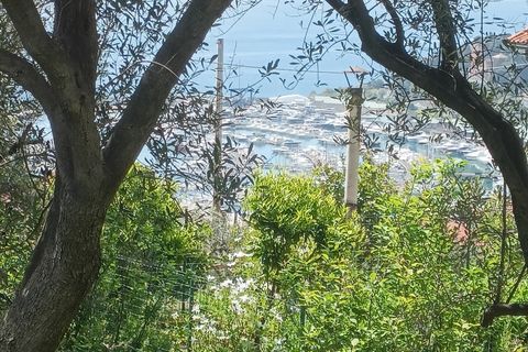 Terra a Varazze, Savona, Varazze - € 165.000 | Ref: 29741 - foto 11
