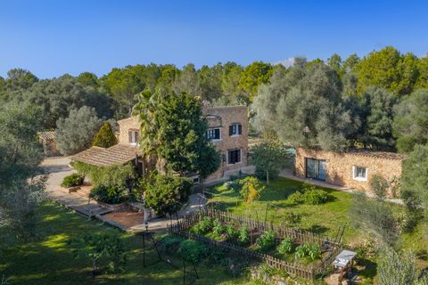 Landejendom i Sencelles, Mallorca, Sencelles - € 1.599.000 | Ref: SWOSEN5386 - foto 21