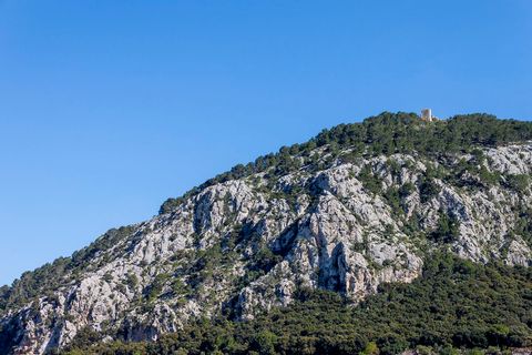 Landsbyhus i Pollenca, Mallorca, Pollenca - € 1 735 000 | Ref: POL20750ETV - foto 19