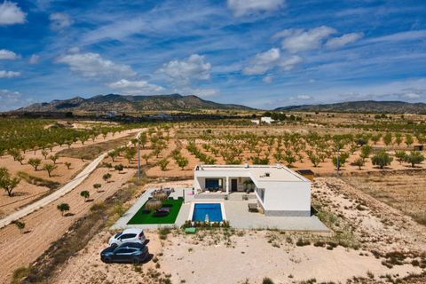 Landejendom i Pinoso, Alicante, Pinoso - € 399.900 | Ref: Pin BS - foto 2