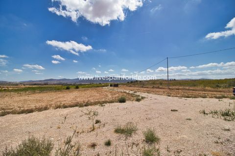 Landejendom i Pinoso, Alicante, Pinoso - € 399.900 | Ref: Pin BS - foto 28