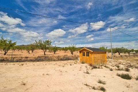 Landejendom i Pinoso, Alicante, Pinoso - € 399.900 | Ref: Pin BS - foto 30