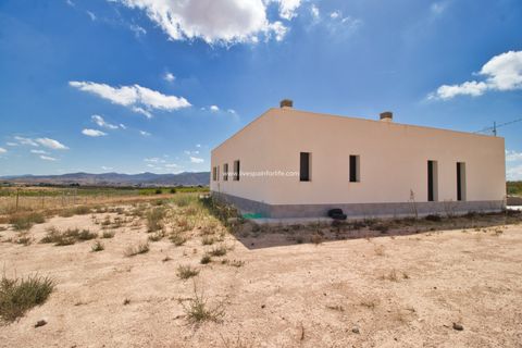 Landejendom i Pinoso, Alicante, Pinoso - € 399.900 | Ref: Pin BS - foto 31
