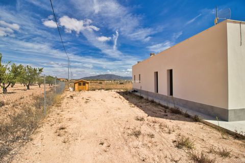 Landejendom i Pinoso, Alicante, Pinoso - € 399.900 | Ref: Pin BS - foto 32