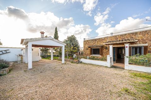 Landejendom i Llucmajor, Mallorca, Llucmajor - € 455.000 | Ref: 13ARJS031/3010 - foto 30