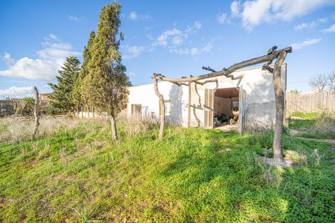 Landejendom i Llucmajor, Mallorca, Llucmajor - € 455.000 | Ref: 13ARJS031/3010 - foto 35