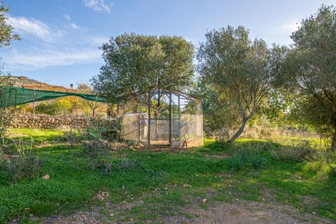 Landejendom i Llucmajor, Mallorca, Llucmajor - € 455.000 | Ref: 13ARJS031/3010 - foto 38
