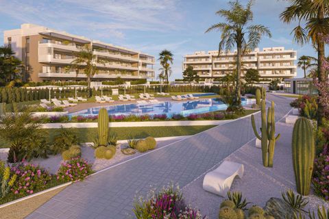 Lägenhet i Torrevieja, Alicante - foto 1