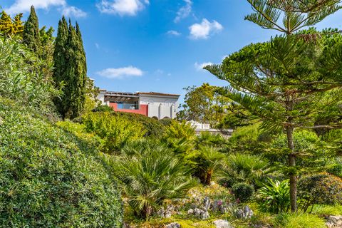 Villa i Calvia, Mallorca, Calvia - € 6.800.000 | Ref: FALC-Nep-63130 - foto 22