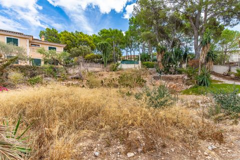 Helårsgrund i Bendinat, Mallorca, Bendinat - € 3.100.000 | Ref: FALC-Nep-63024 - foto 2