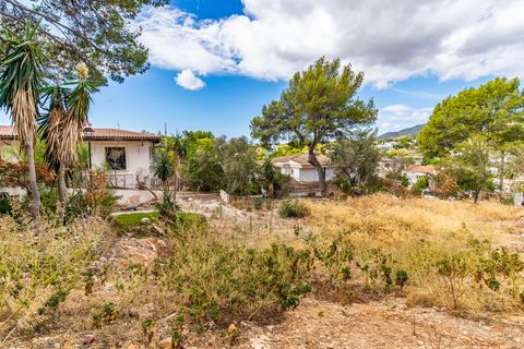 Helårsgrund i Bendinat, Mallorca, Bendinat - € 3.100.000 | Ref: FALC-Nep-63024 - foto 6