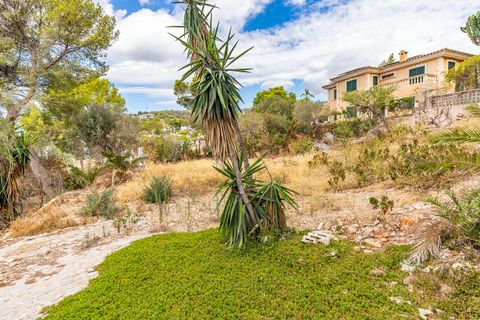 Helårsgrund i Bendinat, Mallorca, Bendinat - € 3.100.000 | Ref: FALC-Nep-63024 - foto 8