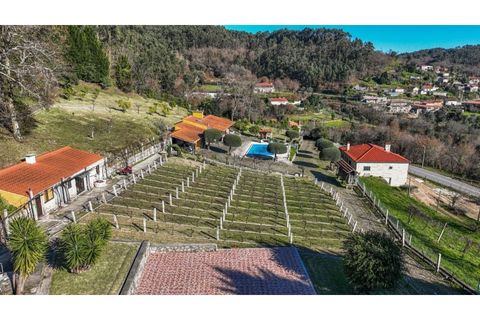 Farm i Vila Verde, Braga, Vila Verde - € 780.000 | Ref: 33941390 - foto 9