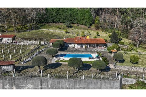 Farm i Vila Verde, Braga, Vila Verde - € 780.000 | Ref: 33941390 - foto 12