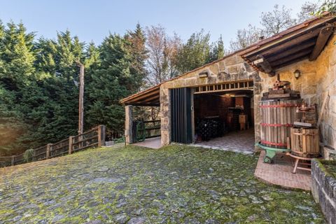 Farm i Vila Verde, Braga, Vila Verde - € 780.000 | Ref: 33941390 - foto 14
