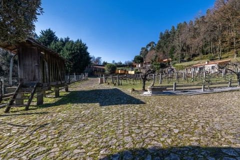Farm i Vila Verde, Braga, Vila Verde - € 780.000 | Ref: 33941390 - foto 16