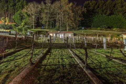 Farm i Vila Verde, Braga, Vila Verde - € 780.000 | Ref: 33941390 - foto 40