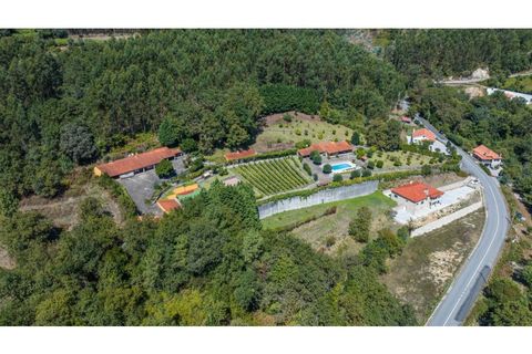 Farm i Vila Verde, Braga, Vila Verde - € 780.000 | Ref: 33941390 - foto 50