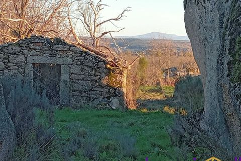 Helårsgrund i Guarda, Guarda, Guarda - € 25.000 | Ref: 32025RR - foto 10