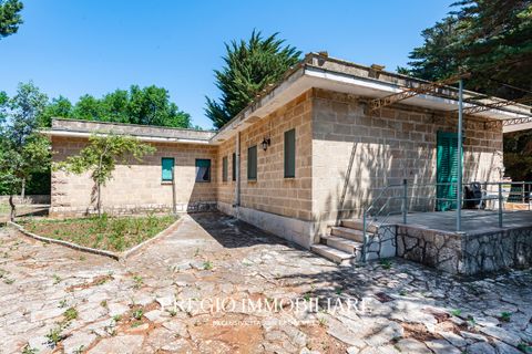 Villa a Fasano, Brindisi, Fasano - € 290.000 | Ref: 9113RA51342  - foto 24
