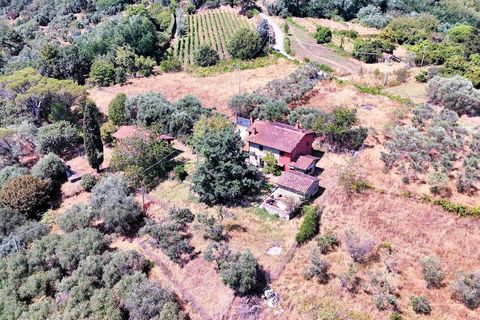 Landejendom i Uzzano, Pistoia, Uzzano - € 499.000 | Ref: 1679 - foto 3