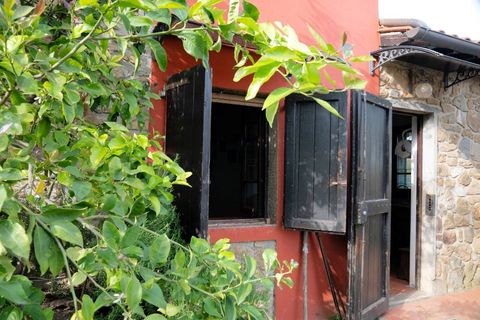 Landejendom i Uzzano, Pistoia, Uzzano - € 499.000 | Ref: 1679 - foto 6