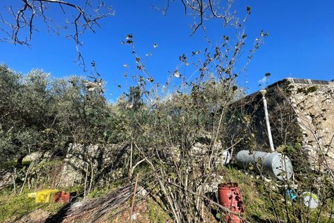 Terra a Avella, Avellino, Avella - € 80.000 | Ref: 459532 - foto 2